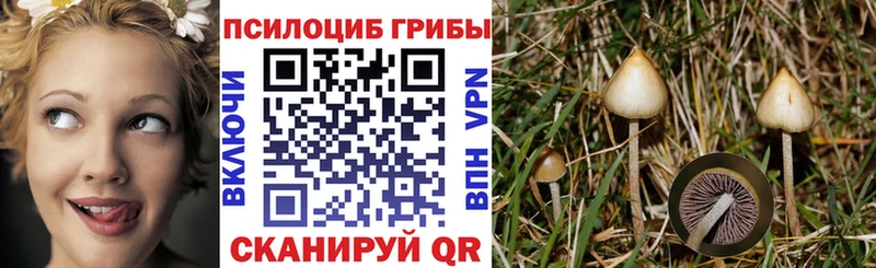 Галлюциногенные грибы прущие грибы  darknet какой сайт  Сковородино 